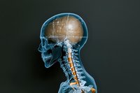 X-ray scan showing human skull and cervical spine in profile view with highlighted brain area against dark background, medical visualization concept.