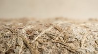 Cracked dry earth surface showing severe drought conditions with deep fissures and parched soil texture against blurred desert background.