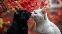 Two adorable kittens sharing tender moment under autumn foliage with vibrant red leaves creating romantic seasonal backdrop for pet photography projects.