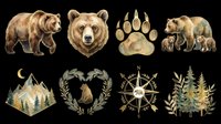 Brown bear full body and head portrait, paw print, bear family group, forest landscape, laurel wreath with sitting bear, compass rose, and evergreen trees isolated on transparent background. Ready for t-shirt design, clipart, stickers, print-on-demand products, and sublimation projects.