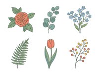 Botanical hand-drawn floral elements set featuring rose, tulip, fern, eucalyptus, and berry branches isolated on white background, ready for design projects.