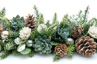 Festive winter garland with pine cones, succulents, and silver ornaments on white background, arranged in horizontal composition for holiday decorating and design.