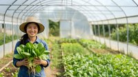 Young Asian female farmer holding fresh leafy greens in modern greenhouse with rows of vegetables, representing sustainable agriculture and organic farming practices.