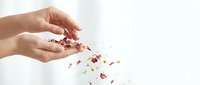 Close-up of hands releasing dried flower petals and botanical fragments against white background. Suitable for wellness, spa, beauty, and natural product marketing.