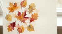 Autumn leaves collection with vibrant fall foliage in orange, red and yellow colors isolated on transparent background for seasonal design projects.
