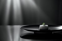 Minimalist black plate with small green plant sprout in ceramic pot against dark background with dramatic lighting rays, creating zen atmosphere.