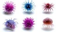 Colorful microscopic virus cells with spiky surface structures on white background, scientific medical visualization showing detailed pathogen morphology.