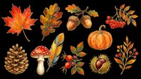 Autumn nature clipart set with maple leaf, acorns, pumpkin, mushroom, pine cone, berries, chestnut, and feather, isolated on transparent background, ready for seasonal design use.