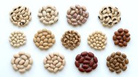 Assorted nuts and legumes arranged in circular clusters on white background, including cashews, chickpeas, peanuts, and beans. Isolated food ingredients for culinary, nutritional, and design applications.