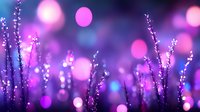 Magical purple bokeh background with delicate silhouettes of wild grass and flowers in twilight. Dreamy nature backdrop with glowing circles and soft focus effects.