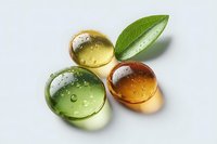 Natural organic oil drops with water droplets and green leaf on white background for skincare cosmetics and wellness products.
