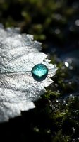Sparkling emerald green gemstone resting on weathered stone surface with natural water reflections and bokeh light effects creating magical outdoor ambiance.
