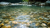 Crystal clear mountain stream flowing over smooth river rocks, with sunlight creating sparkles on shallow water surface and natural bokeh effect.