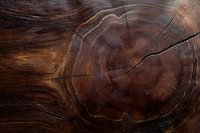 Dark brown wood cross section showing natural growth rings and cracks in aged timber, revealing organic texture and patterns in rustic material.