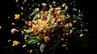 Dramatic explosion of dried flowers and petals against black background, captured mid-burst with floating leaves and scattered fragments in dynamic motion.