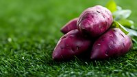 Fresh purple sweet potatoes with water drops on green grass background, organic farm produce for healthy cooking and natural food photography.