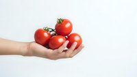 Fresh red tomatoes held in cupped hands against white background. Organic vegetables for healthy cooking and nutrition concepts.