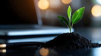 Young green sprout growing from soil on dark background with bokeh lights, symbolizing growth, new beginnings, and environmental sustainability.