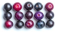 Fresh ripe muscadine grapes arranged in neat rows showing variety of purple, red and dark blue colors on white background, isolated view from above.