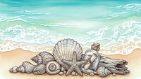 Seashells and driftwood collection on sandy beach with turquoise ocean waves, marine treasures for coastal decor and summer vacation memories.
