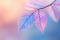 Delicate translucent leaves in soft pink and blue tones create dreamy natural macro composition with visible leaf veins against blurred pastel background.