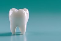 White tooth model on turquoise background with soft focus and copy space. Clean minimalist dental care concept for dentistry and oral health promotion.