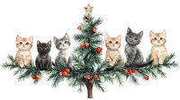 Adorable kittens sitting on pine branch with red Christmas ornaments and golden star, watercolor style composition on white background, isolated festive design.