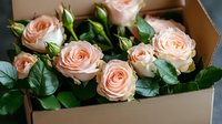 Fresh peach garden roses with green leaves in craft box, romantic floral arrangement showing delicate petals and natural stems for wedding and events.