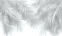 Soft palm leaves cast delicate shadows on light gray background, creating ethereal tropical mood. Natural palm fronds overlay effect for design projects.