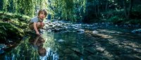 Young child sitting by peaceful forest stream with clear water reflections surrounded by lush green vegetation and moss-covered rocks in natural woodland setting.