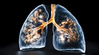 Translucent human lungs with glowing bronchial tree and alveoli structure against black background, medical visualization showing respiratory system anatomy.