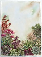 Watercolor botanical frame with succulents and flowers on textured paper background for wedding invitations, greeting cards, and stationery design.