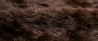 Close-up macro shot of brown animal fur texture showing detailed hair strands and natural patterns for wildlife photography and nature backgrounds.