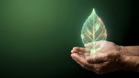 Hands holding glowing transparent leaf with luminous veins against dark green background symbolizing environmental protection and sustainability.