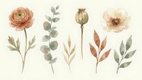 Watercolor botanical elements set with ranunculus flowers, eucalyptus branches, poppy seed pods and delicate leaves in soft earth tones on cream background.