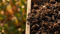 Rich organic compost soil in wooden container with natural bokeh background for sustainable gardening and agriculture projects.