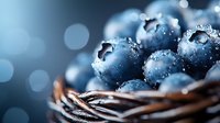 Fresh ripe blueberries with water drops in wicker basket against blurred blue background with bokeh lights, macro food photography.