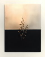 Minimalist botanical art featuring delicate dried grass silhouette against split background of soft peach and deep black tones, creating dramatic contrast.