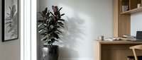 Modern minimalist home office workspace with wooden desk, rubber plant, and natural lighting creating productive work environment for remote professionals.