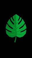 Green monstera leaf isolated on transparent background, ready for t-shirt design, clipart, stickers, sublimation and print-on-demand products.