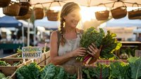Young blonde woman shopping for fresh organic vegetables at farmers market during golden hour sunset holding leafy greens with warm natural lighting.