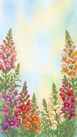 Watercolor snapdragon flowers in pink, purple, orange and yellow frame a soft pastel sky background, creating a vibrant floral border.