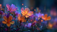 Delicate pink and orange flowers bloom against dreamy bokeh lights background creating magical garden atmosphere for romantic designs and spring concepts.