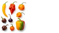 Colorful assorted hot chili peppers collection isolated on white background for culinary cooking spice ingredient design projects and food photography.