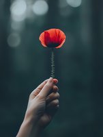 Single red poppy flower held up against dark blurred background with bokeh lights, creating dramatic contrast and moody atmospheric composition. Nature meets human element.