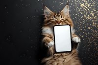 Fluffy tabby kitten holding blank smartphone screen with paws against sparkling golden confetti background for mobile app mockup and digital marketing designs.