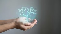 Hand holding glowing turquoise tree network icon with digital light effect, representing growth, connection, technology, and innovation in business and environmental sustainability concepts.
