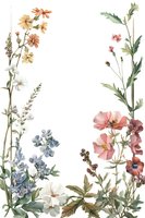 Delicate wildflower arrangement featuring coral poppies, blue delphiniums, and white cosmos in watercolor style on white background, suitable for botanical prints and decor.