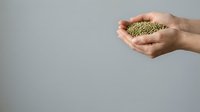 Hands holding green lentils or mung beans against neutral background, representing organic agriculture, sustainable farming, healthy nutrition, and food production for culinary use.