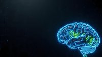 Digital brain with glowing neural networks and electric impulses on dark background for artificial intelligence and neuroscience concepts.